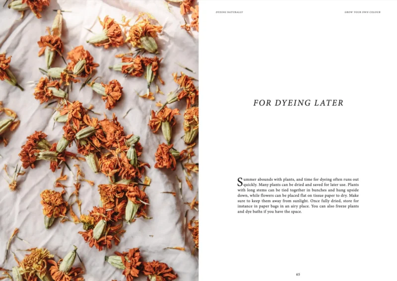 Dyeing Naturally - Pilt 5